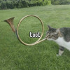 @Aaron_Davis@toot.cat avatar