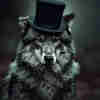 @Tedrow@lemmy.world avatar