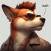 @finn@surfin.dog avatar