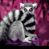 @Lemur@mastodon.social avatar