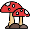 mushrooms@lemmy.world icon