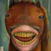 @joobles@jorts.horse avatar