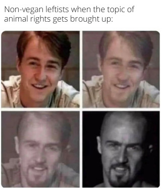 A 4 panel transition depicting roles played by Edward Norton. The transition goes from a smiling, average looking, guy (movie: Primal Fear), to a white supremacist with a shaved head and goatee, looking angry (movie: American History X)