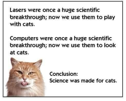 Lasers were once a huge scientific breakthrough; now we use them to play with cats. Computers were once a huge scientific breakthrough; now we use them to look at cats. Conclusion: Science was made for cats.