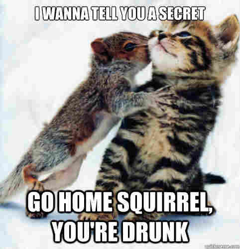 Picture a baby squirrel kissing a kitten , the caption reads: 
“I WANNA TELL YOU A SECRET
GO HOME SQUIRREL YOURE DRUNK”