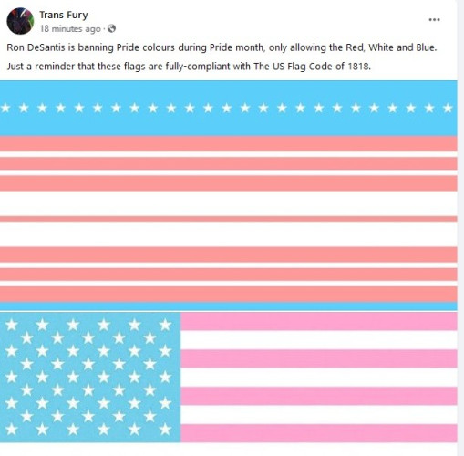 Reads: Ron DeSantis is banning Pride colours during Pride month, only allowing the Red, White and blue. Just a reminder that these flags are fully-compliant with the US Flag Code of 1818.

Shows several iterations of stars and stripes patterns with subdued reds and pinks, making them look like trans pride flag colors.
