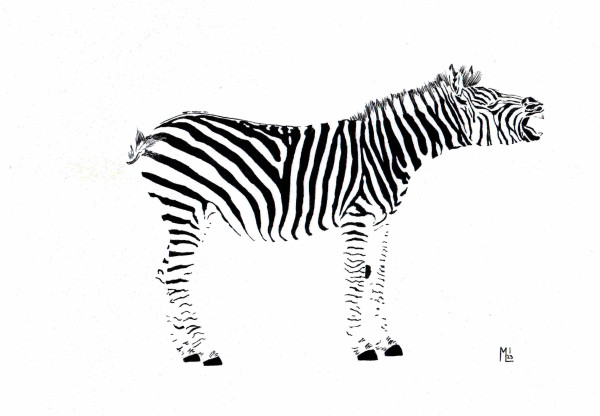 A sketch of a zebra drawn from the animal's profile. Its mouth is open as if braying. There's no background and the sketch is entirely in black and white with only the black of the stripes and other features drawn in.
