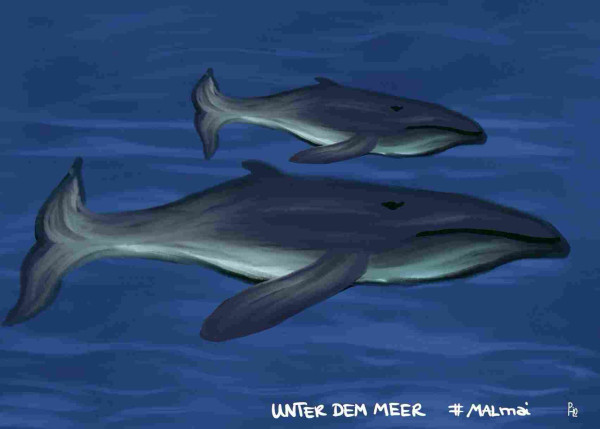 Eine digitale Illustration von zwei Walen, die unter Wasser schwimmen.
A digital illustration of two whales swimming underwater.