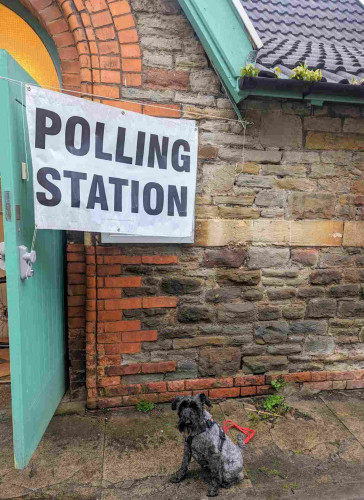Small black dog sat on pavement in front of a stone wall and a bright blue door labelled with a large sign that reads POLLING STATION