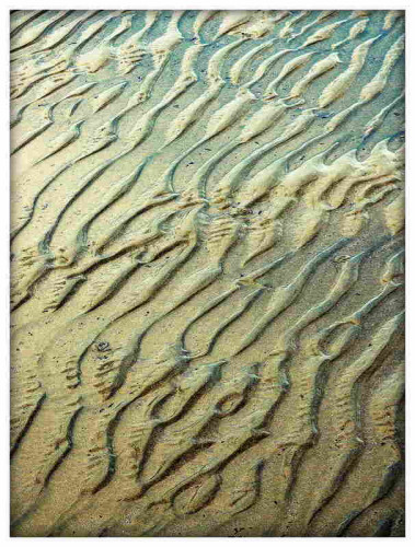 A colour photograph showing ripples in sand passing diagonally through the frame with complex organic shapes sculpted by the movement of tidal water and wind.
