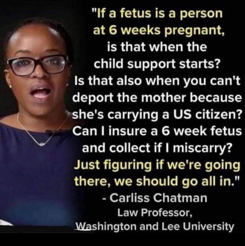 "If a fetus is a person at 6 weeks pregnant, is that when the child support starts? Is that also when you can't deport the mother because she's carrying a US citizen? Can I insure a 6 week fetus and collect if I miscarry? Just figuring if we're going there, we should go all in." - Carliss Chatman Law Professor, Washington and Lee University
