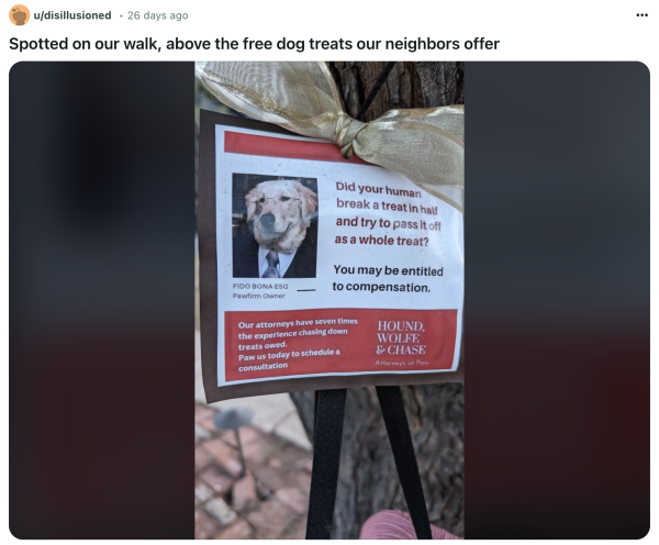 Screenshot of a Reddit post that says: 'Spotted on our walk above the free dog treats our neighbors offer' Attached is a photo of a dog in a suit acting as a lawyer for dogs seeking treat justice.