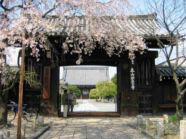 Blossoms at Myoken-ji's gate.
