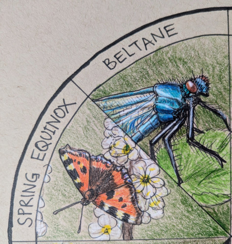 Two segments of a wheel of the year chart, once showing a small tortoiseshell butterfly for the Spring Equinox and one showing a banded demoiselle (small blue flying insect) for Beltane 
