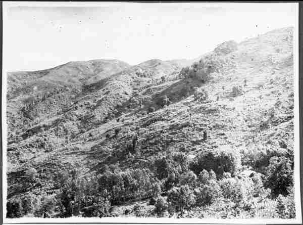 Black and white photo of hills with trees on it. 1930s, Mbaga, South Pare Mountains, Tanzania 