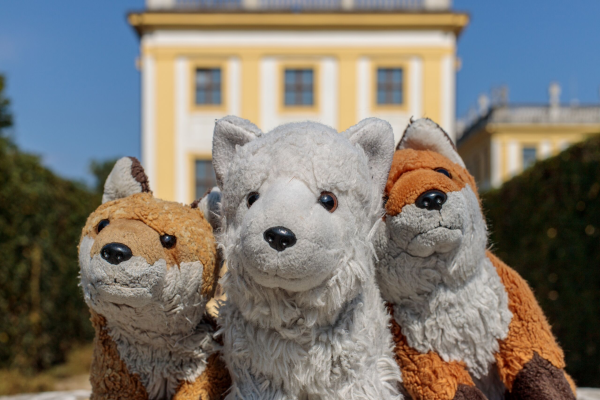 Two fox plushies (two red foxes and one arctic fox) standing in front of a baroque building.