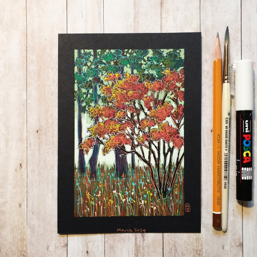 A drawing of a red Japanese maple tree in a park area.  The drawing is in a illustrative style with a teal outline. The drawing measures 5 x 7 inches and is on black paper. 
