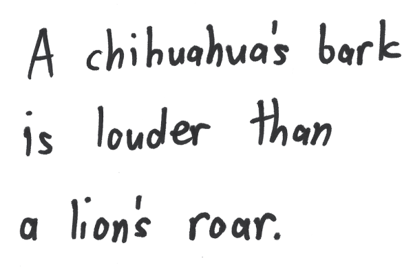 A chihuahua's bark is louder than a lion's roar.
