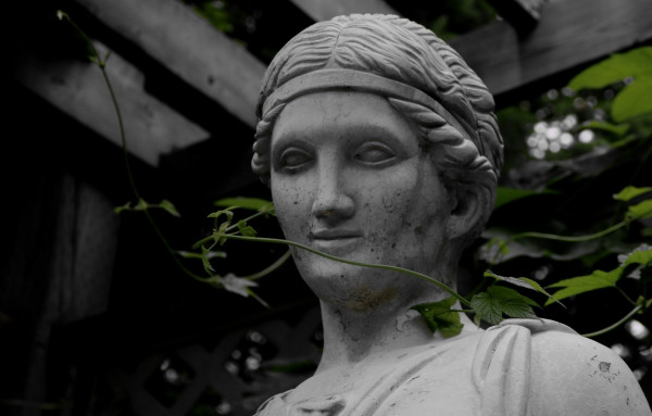 Almost monochrome portrait of the head of a garden statue, looking like a female Greek character, with green vines growing around her neck. A wooden structure can be seen in the background over her head and spots of light are coming through.