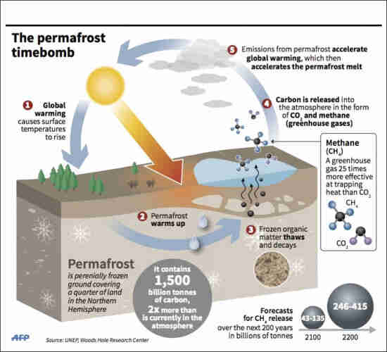 Graphic describes the permafrost time bomb with (1) global warming raising temperatures (2) causing permafrost to thaw and (3) frozen organic matter to decay (4) releasing CO2 and methane into the atmosphere, which (5) accelerates global warming and accelerates further permafrost melt.