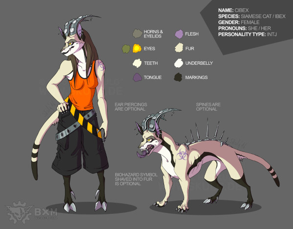 Reference sheet for Cibex, a hybrid of Siamese cat and Alpine ibex. She's depicted in both anthropomorphic and feral form. She wears an orange tank top and black tripp pants, and her feral form has metal spikes on her back.