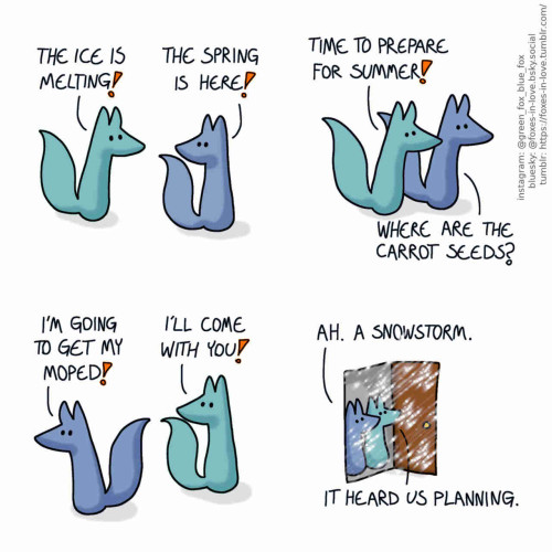 A comic of two foxes, one of whom is blue, the other is green. In this one, Green rushes to Blue with great news. Both are full of excitement. Green: The ice is melting! Blue: The spring is here!  The foxes dash into action. Green: Time to prepare for summer! Blue: Where are the carrot seeds?  Green turns to look at Blue as Blue abruptly changes directions. Blue: I'm going to get my moped! Green: I'll come with you!  The foxes stand at the door, looking outside, disappointed but not surprised. It's snowing, and the wind is blowing hard, obscuring the foxes here and there. Blue: Ah. A snowstorm. Green: It heard us planning.