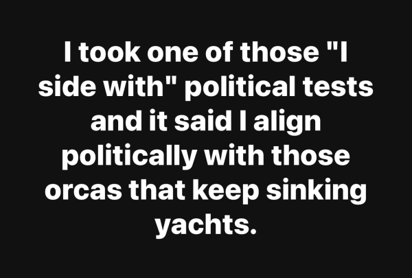 I took one of those "I side with" political tests and it said I align politically with those orcas that keep sinking yachts.
