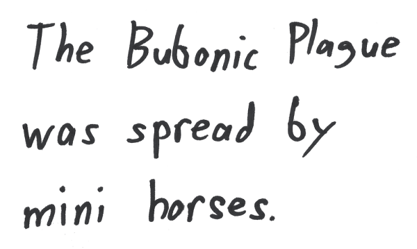 The Bubonic Plague was spread by mini horses.