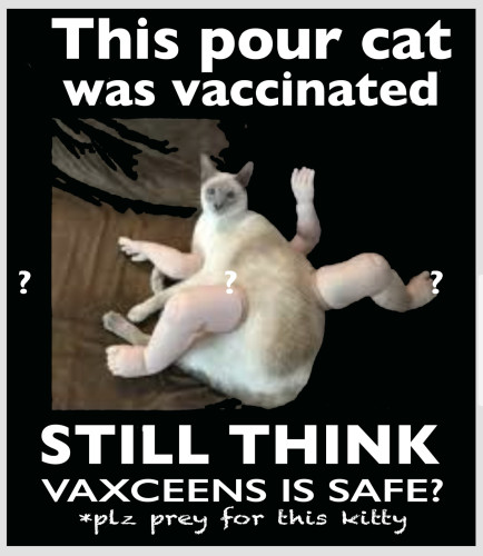 A cat staring up at you, it has doll legs and arms on it to look like extra mutant limbs and Question marks scattered over the image and this text.  This pour cat was vaccinated

STILL THINK VAXCEENS IS SAFE??? Plz prey for this kitty