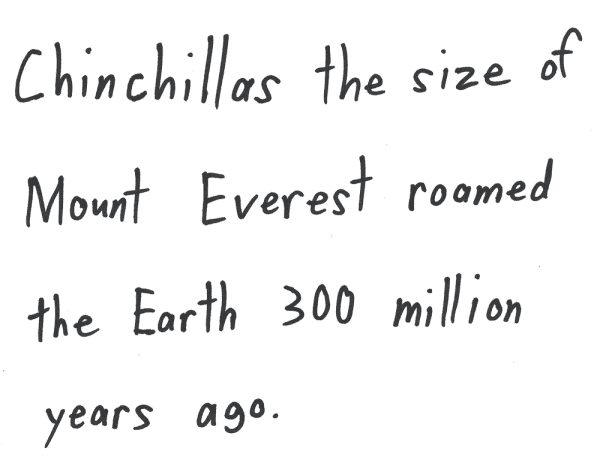 Chinchillas the size of Mount Everest roamed the Earth 300 million years ago.