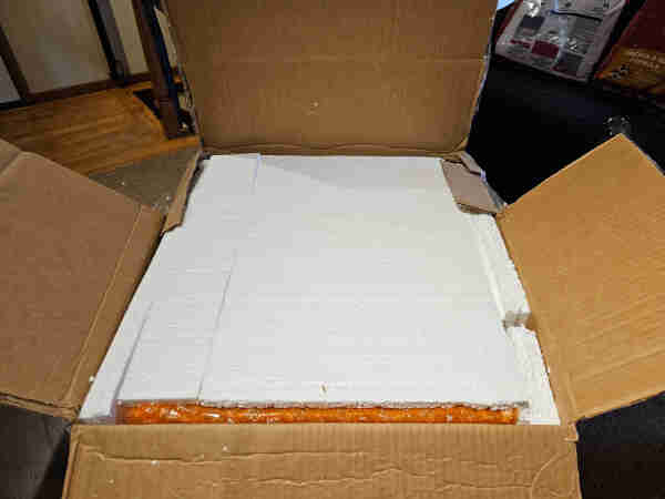 Cardboard box opened to show styrofoam and orange bubble wrap. 