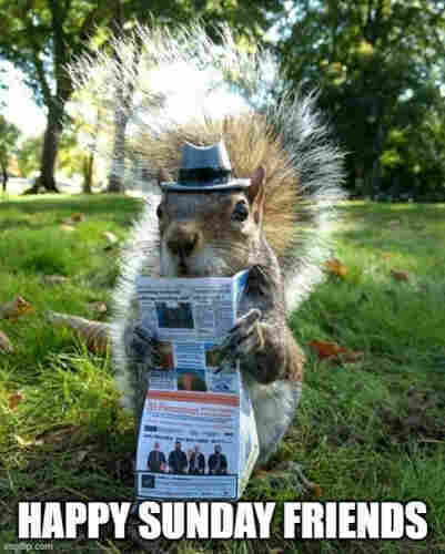 Picture a grey squirrel standing in a park. He is wearing a grey formal hat & reading a paper. 
The caption reads: “Happy Sunday Friends”