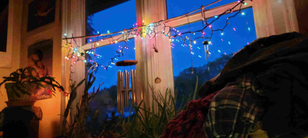 Blue evenong seen through windows with strings of lights, cacti and succulents