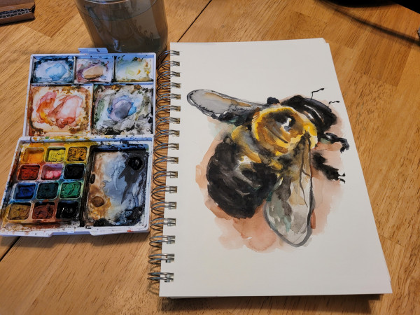 A sketchbook with a sketchy watercolor bee. Small portable watercolor kit also visible.