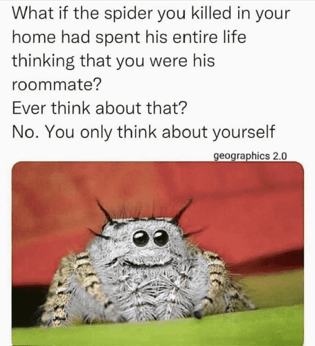 What if the spider you killed in your home had spent his entire life thinking that you were his roommate? Ever think about that? No. You only think about yourself