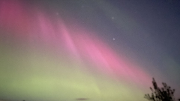A blurred image of the night sky displaying pink and green aurora-like lights with silhouettes of tree branches at the bottom edge.
