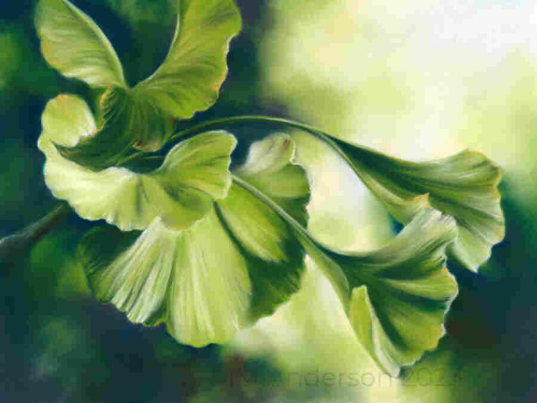 Soft pastel artwork in various shades of green picturing a cluster of fan shaped ginkgo biloba foliage.