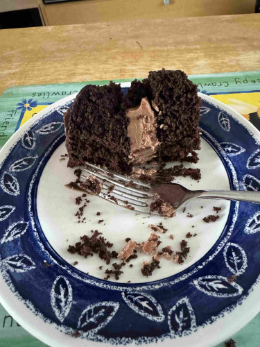 Picture a small plate with a leafy pattern on a blue background around the edge. In the middle of the plate is a ½ eaten plate of chocolate cake.