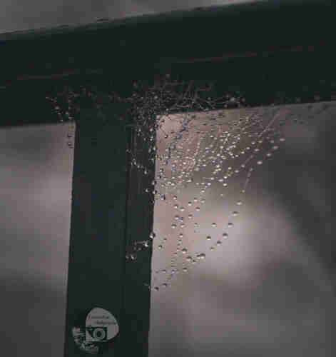 dew covered spidersilk strung between a metal, outdoor banister's handrail and support