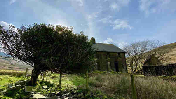 An old abandoned grey-roofed stone cottage with a derelict roofless outbuilding nearby. A rather bleak moorland setting and the main building is dark against a bright blue sparsely clouded sky. There is a minimal fence and what might have been a garden is now rough long grass. Sunlight turns a patch of ground to the left bright green and silhouettes a stunted but bushy hawthorn. The tree is leaning due to the effect of the prevailing winds.
