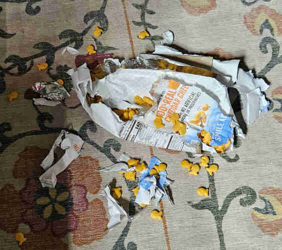 A bag of goldfish absolutely torn to shreds