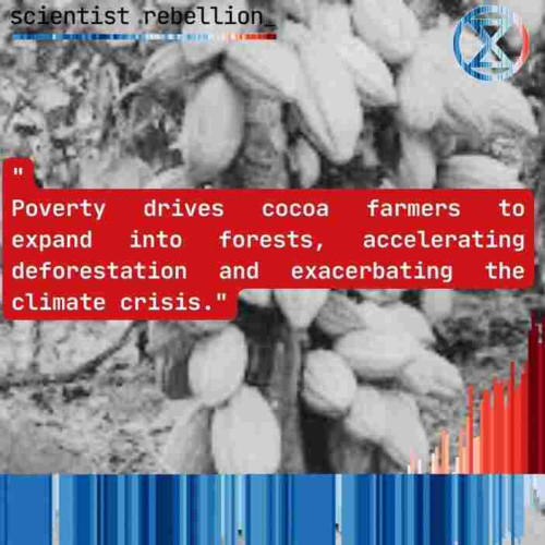scientist rebellion 

" Poverty drives cocoa farmers to expand into forests, accelerating deforestation and exacerbating the climate crisis."