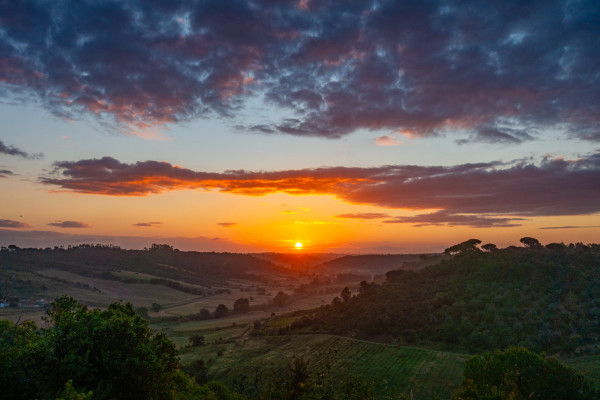 sun rising over a rural valley seen from a hilltop