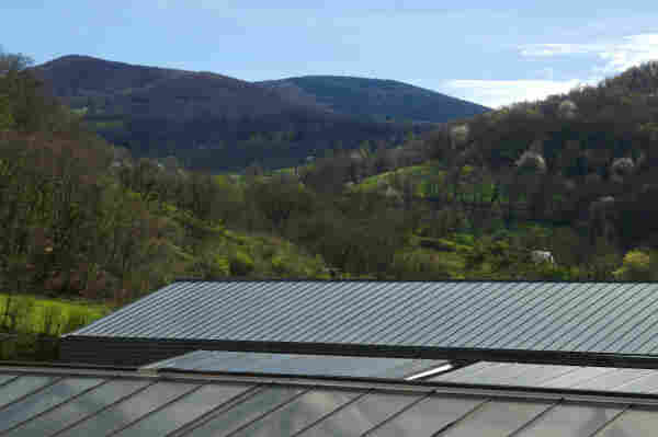 Vu depuis mon bureau sur des collines boisées et verdoyantes, avec des arbres en fleurs, sous le soleil. Au premier plan les toits des serres et résidence du labo.