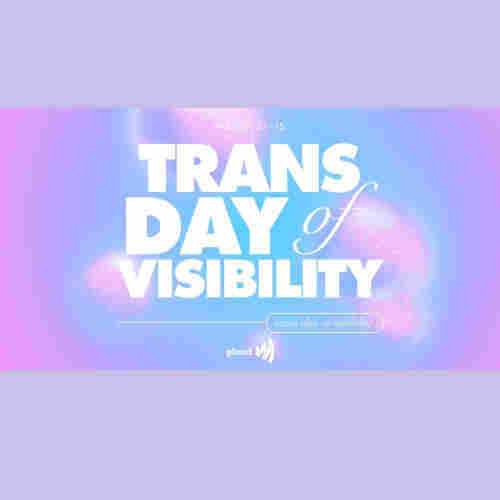 Pink and purple banner “March 31st is Trans Day of Visibility.