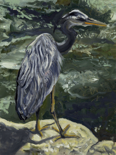 An oil painting of a great blue heron standing on a rock, mostly showing his back to the viewer and with his head and neck in profile. Green river water is swirling in the background.