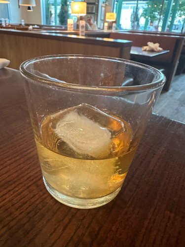 Closeup shot of a glass of bourbon and an ice cube. 