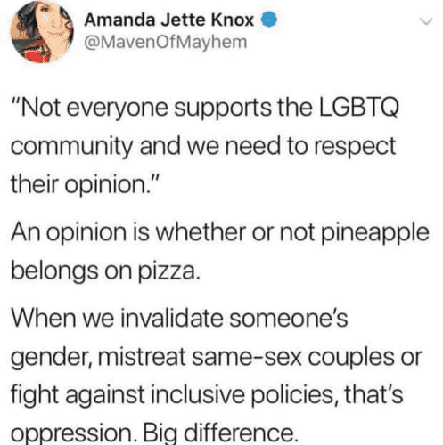 Amanda Jette Knox
@MavenOfMayhem 

"Not everyone supports the LGBTQ community and we need to respect their opinion.” 
An opinion is whether or not pineapple belongs on pizza. 
When we invalidate someone's gender, mistreat same-sex couples or fight against inclusive policies, that's oppression. Big difference. 