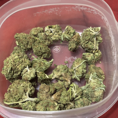 A square plastic container with a few marijuana buds in it.