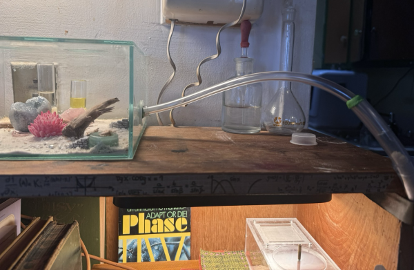 A glass enclosure on a book shelf connects to a plastic tube filled with sand running down the side of the book shelf. 